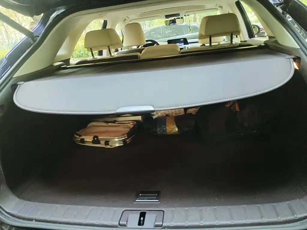 Фото 5 - Lexus RX