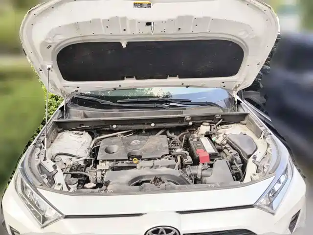 Toyota RAV4 Rongfang 2021 2.0L CVT 2WD Trend — фото 3