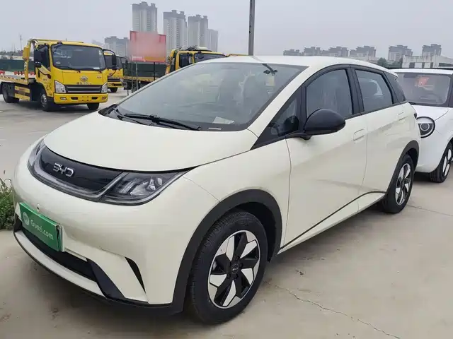 BYD Dolphin 420km, Свобода