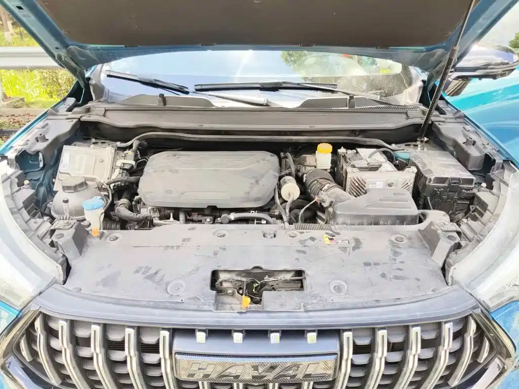 Haval Chitu 2022 2021 Boost Edition 1.5T Platinum Rabbit