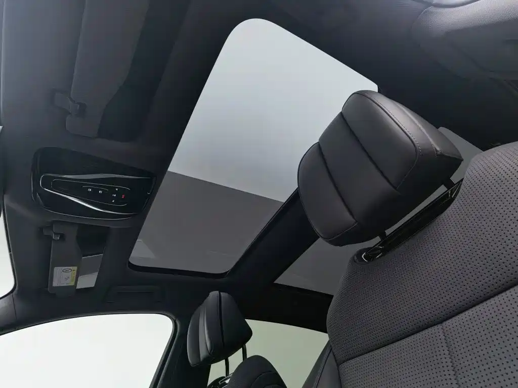 Voyah Passion 2025 2024 PHEV AWD Ultra-long Range Executive Edition