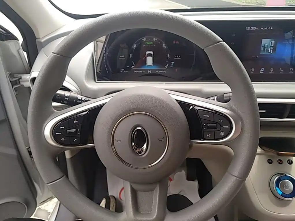Ora White Cat 2020 2020 360km Luxury Model