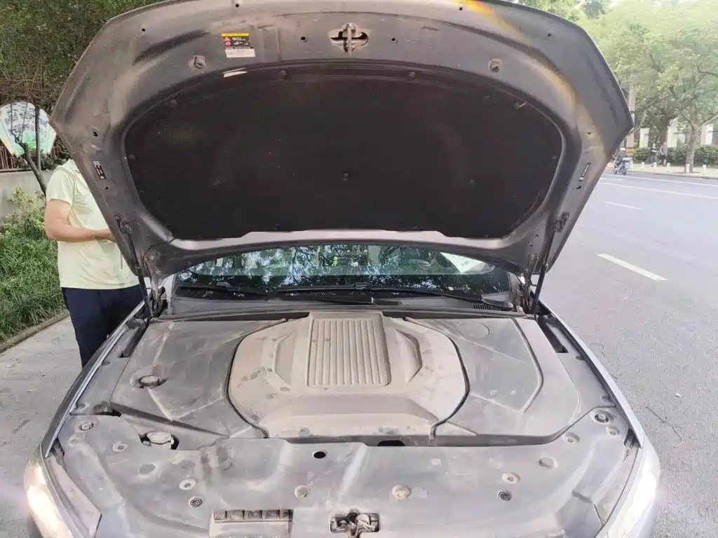 BYD Qin PLUS 2021 2021 EV 400KM Luxury Model