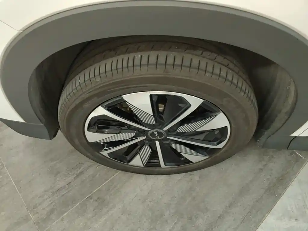 BYD Song PLUS PHEV 2024 2025 DM-i 112KM Honor