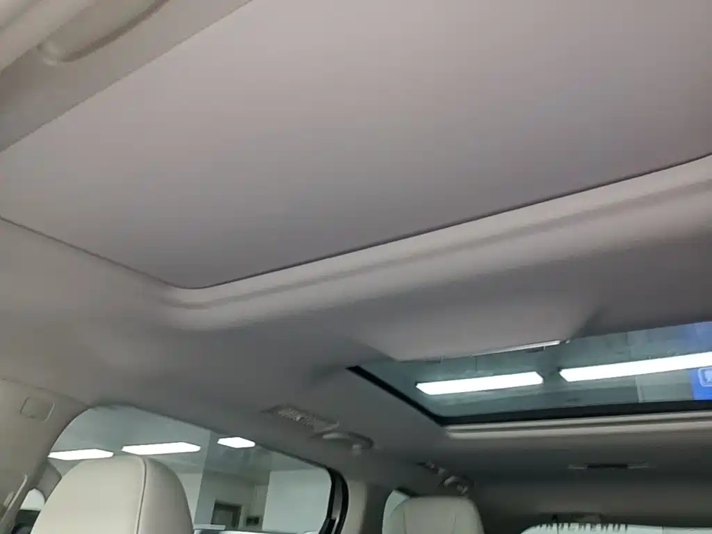 Roewe iMAX8 EV 2024 2025 1.5T DMH Land Luxury Edition