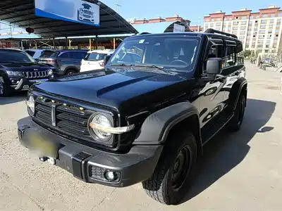 Tank 300