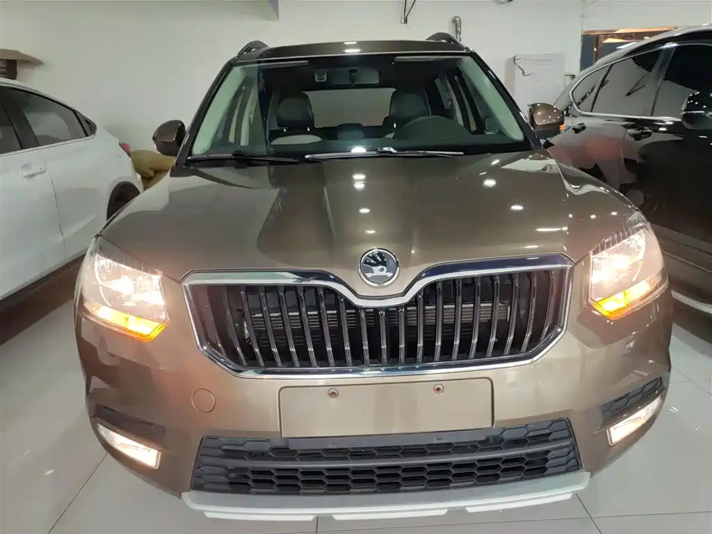 Škoda Yeti 2017 TSI280 DSG Advance фото 3