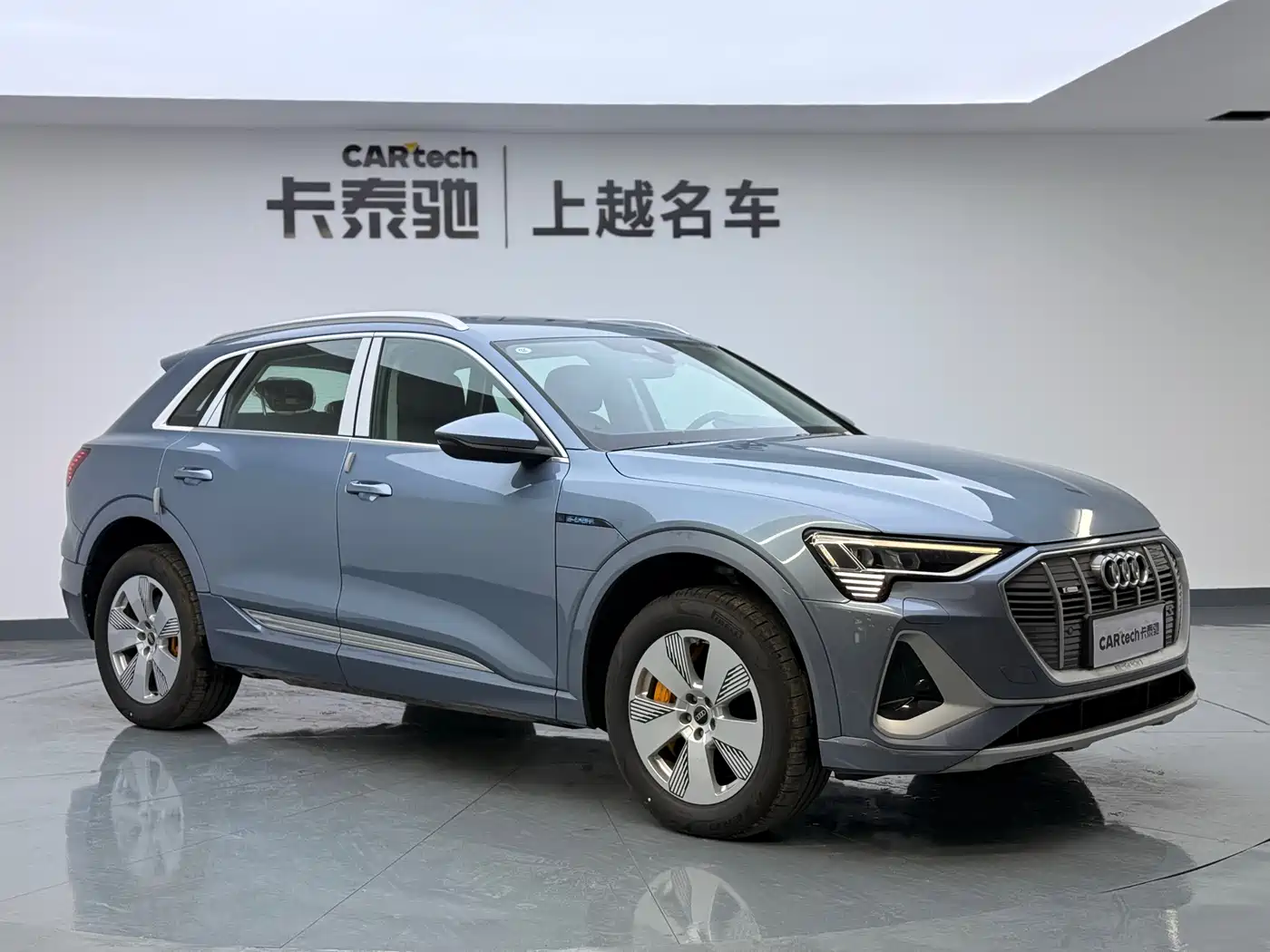 Audi e-tron 2021 50 quattro Luxury фото 3
