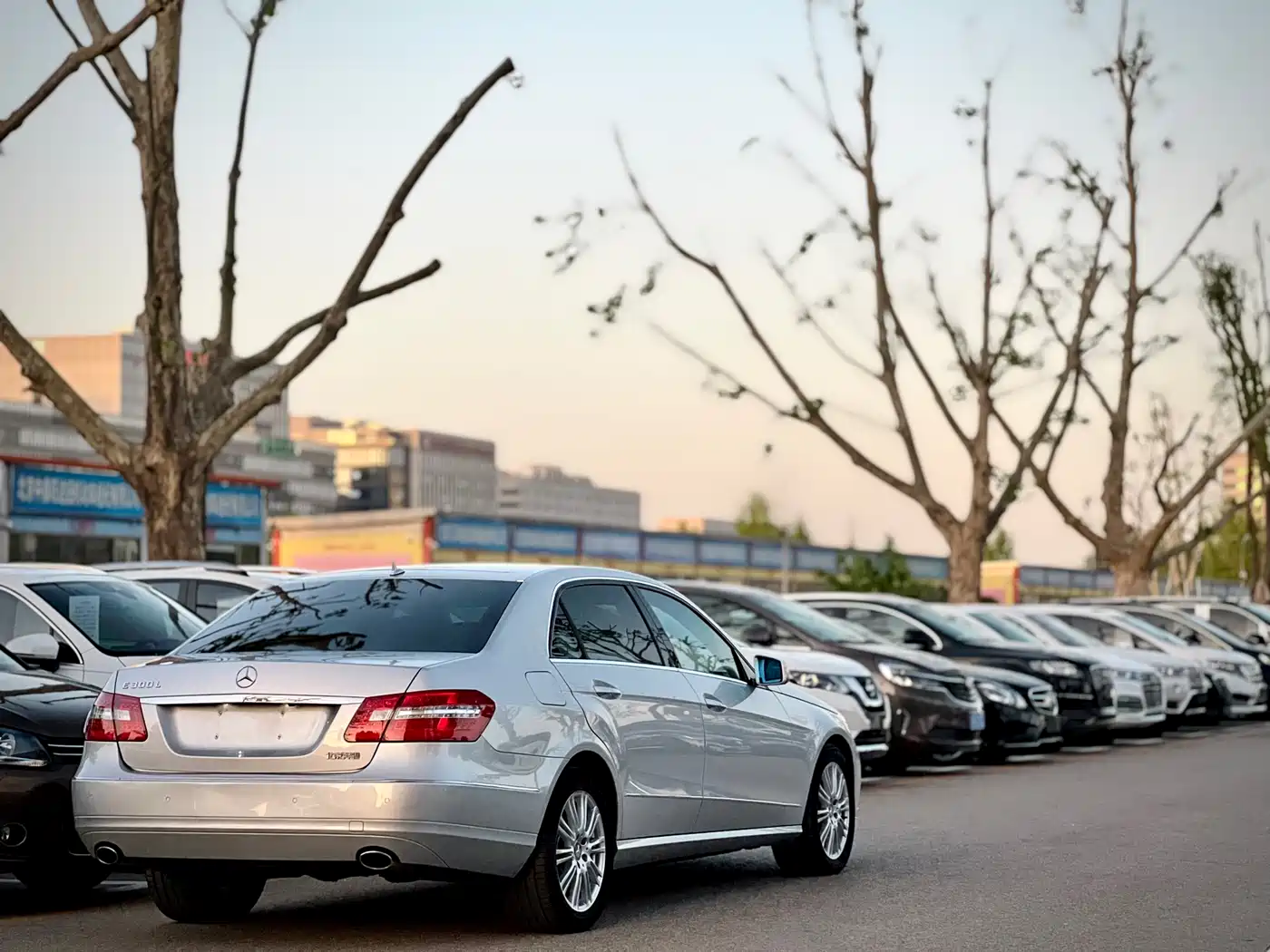 Mercedes-Benz E-Class 2011 E 300 L Elegance фото 8