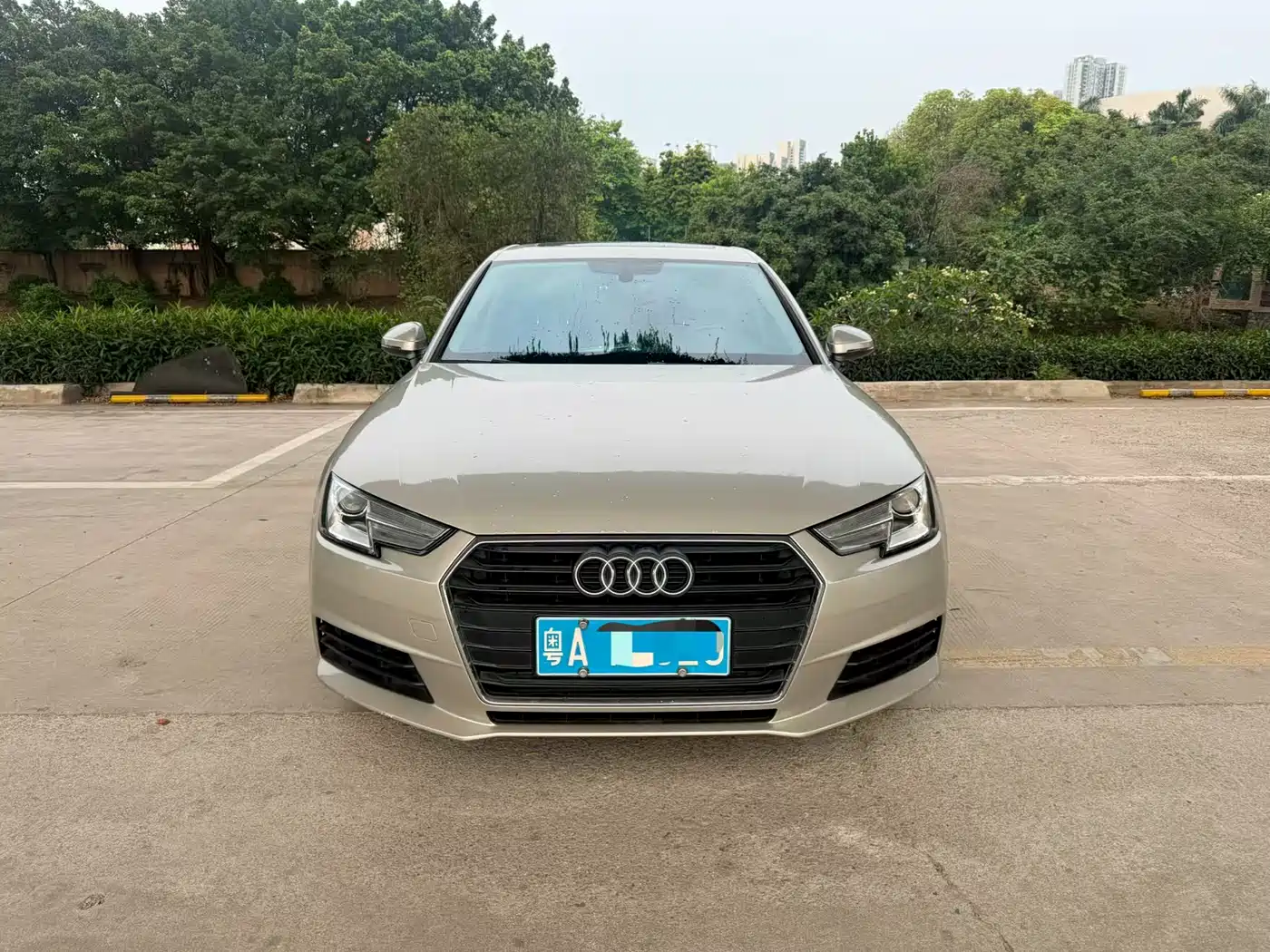 Audi A4L 2017 40 TFSI Progressive фото 2