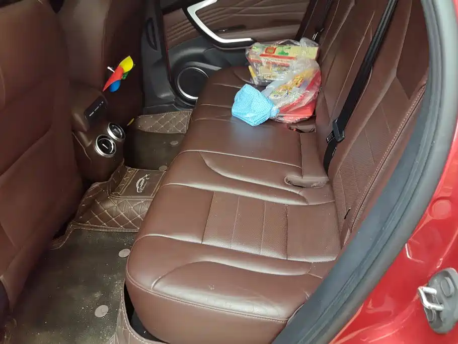 WEY P8 2018 2018 2.0T Flagship Model