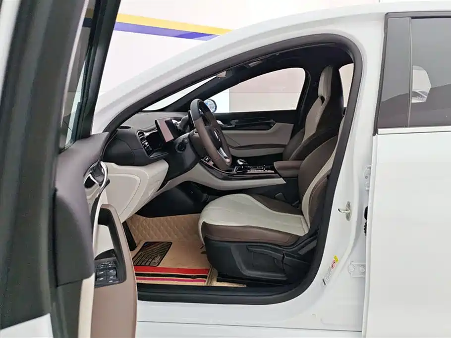 BYD Qin PLUS 2024 Glory Edition DM-i 55KM Leading фото 9