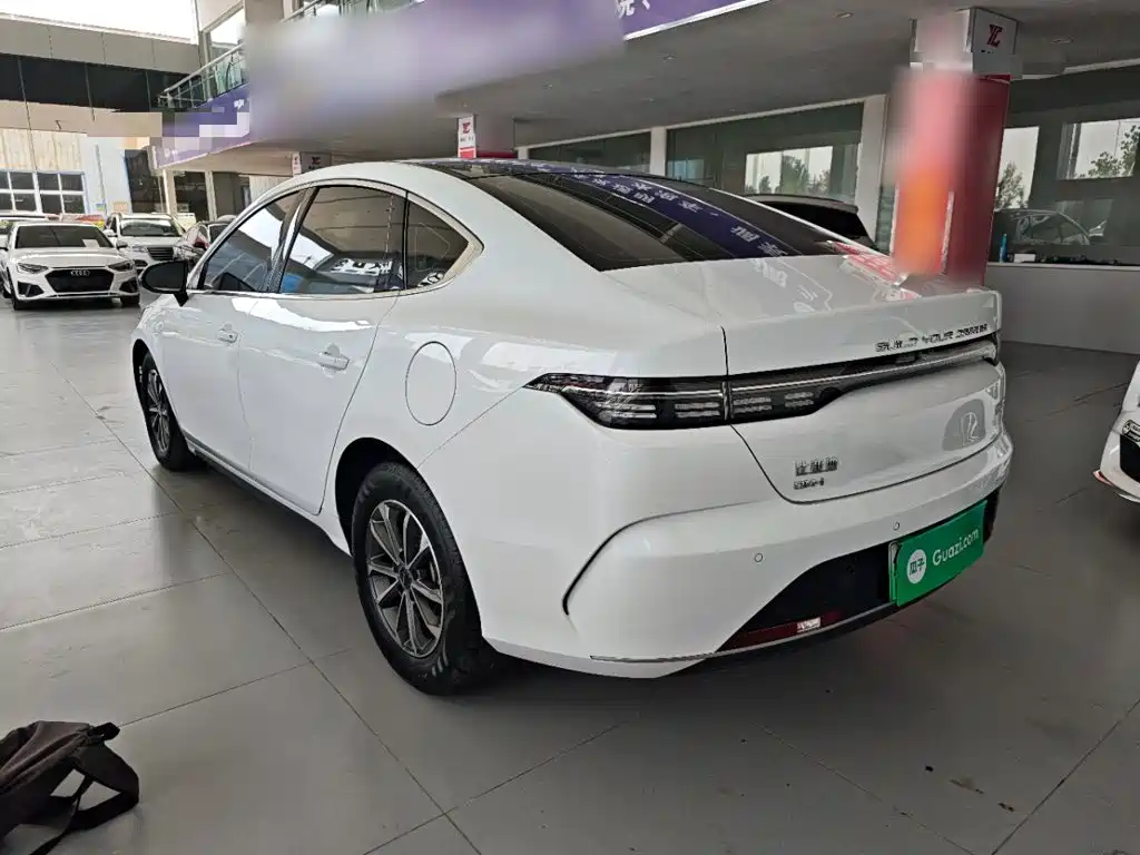 BYD Destroyer 05 2024 2024 Glory Edition DM-i 55KM Luxury