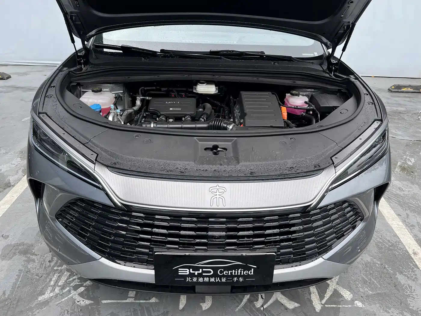 BYD Song L DM-i 2025 Smart Drive 160km Premium фото 13