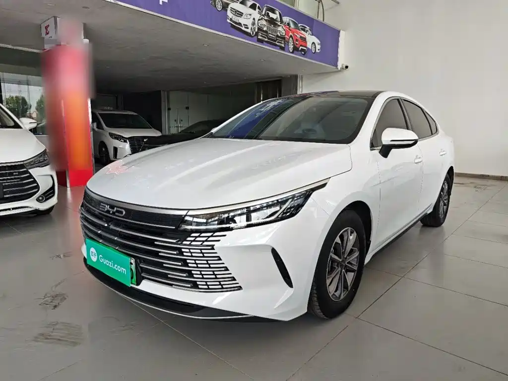 BYD Destroyer 05 2024 2024 Glory Edition DM-i 55KM Luxury