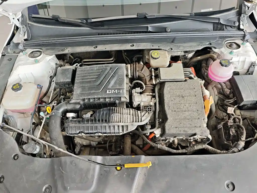 BYD Destroyer 05 2024 2024 Glory Edition DM-i 55KM Luxury