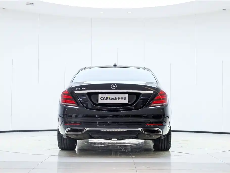 Mercedes-Benz S-Class 2020 S 350 L Business Edition Collector's Version фото 5