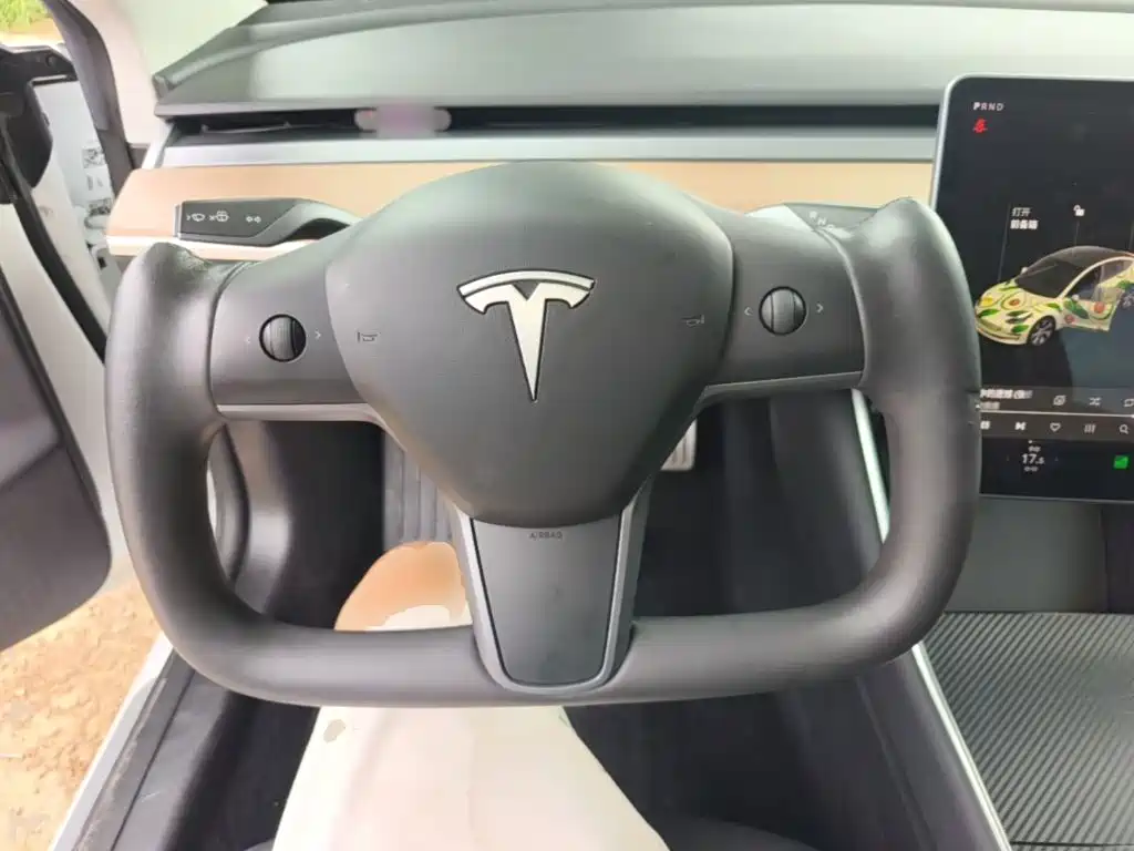 Tesla Model 3 (Import) 2019 2019 Performance High-Efficiency All-Wheel Drive Version