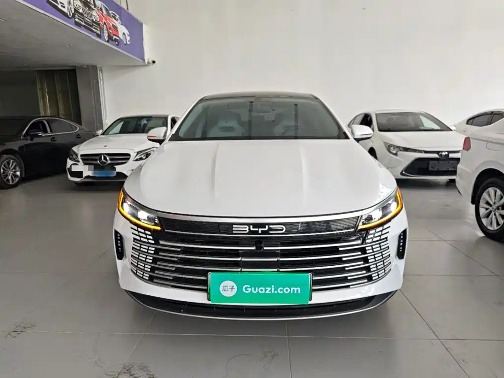 BYD Destroyer 05 2024 2024 Glory Edition DM-i 55KM Luxury