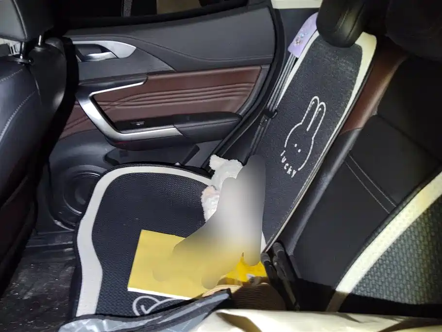 WEI PAI WEI BRAND VV5