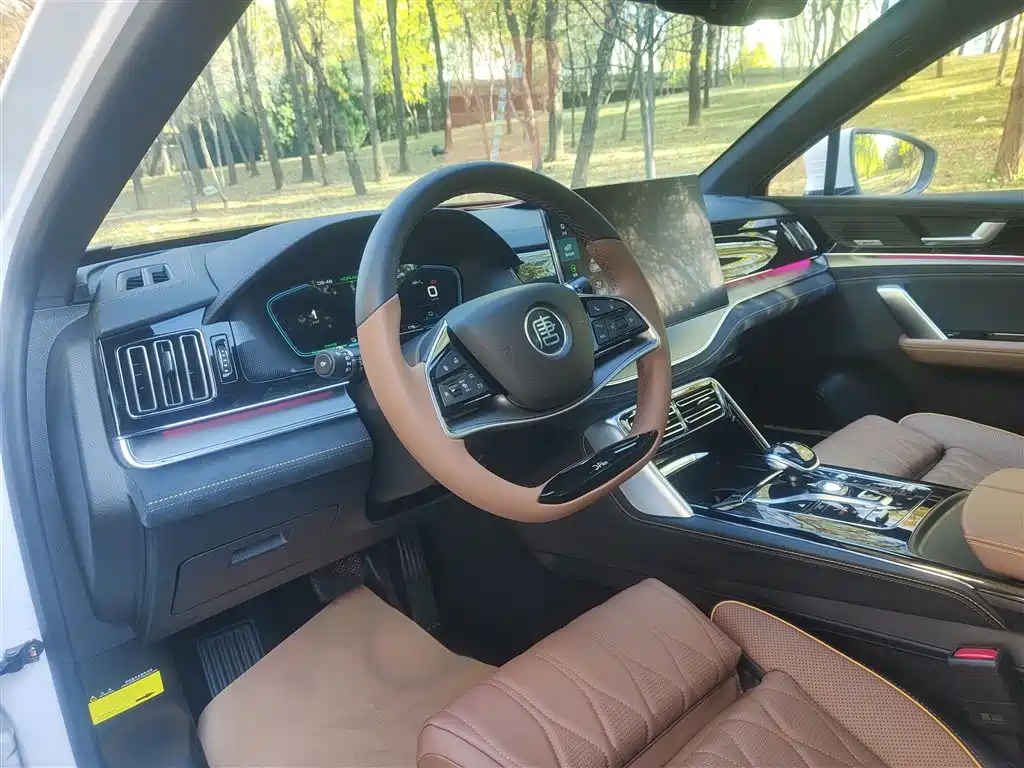 BYD Tang New Energy 2021 DM-i 112KM Honor фото 12