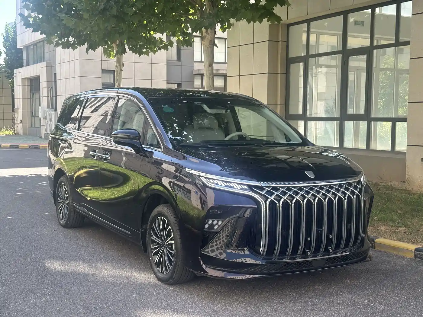 Dongfeng Fengxing Starlight V9 2026 2024 1.5TD 200km Chinese Knot Series Exclusive