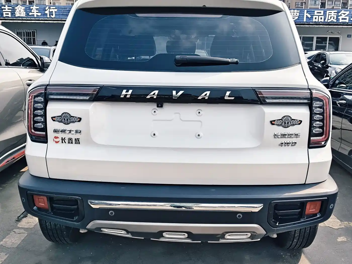 Haval Dargo 2021 2021 2.0T DCT 4WD Chinese Rural Dog Edition