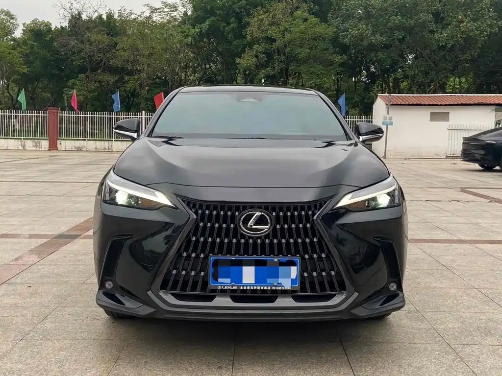 Lexus NX 2023 2023 260 FWD Joy Creation Edition