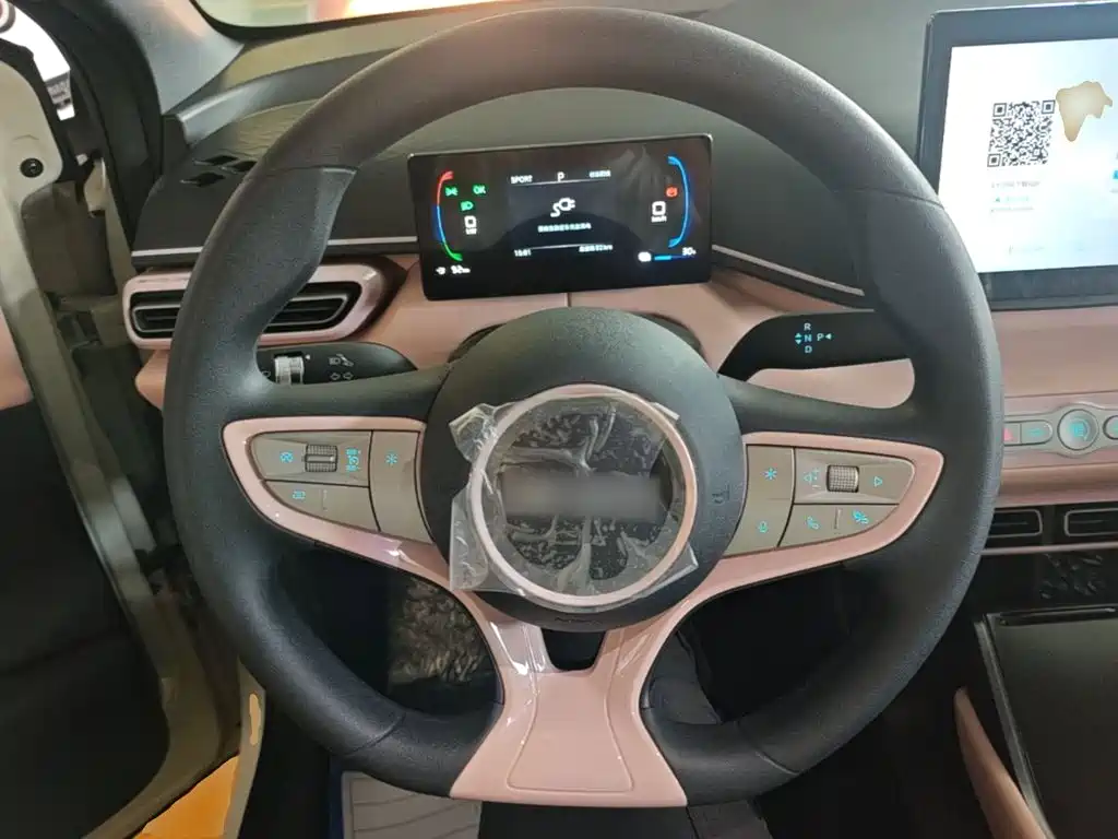 BYD Seagull 2026 2025 Smart Drive Edition 305km Vitality Version