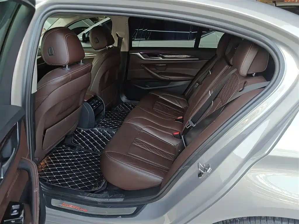 BMW 5 Series 2018 530Li Leading Luxury Package фото 14