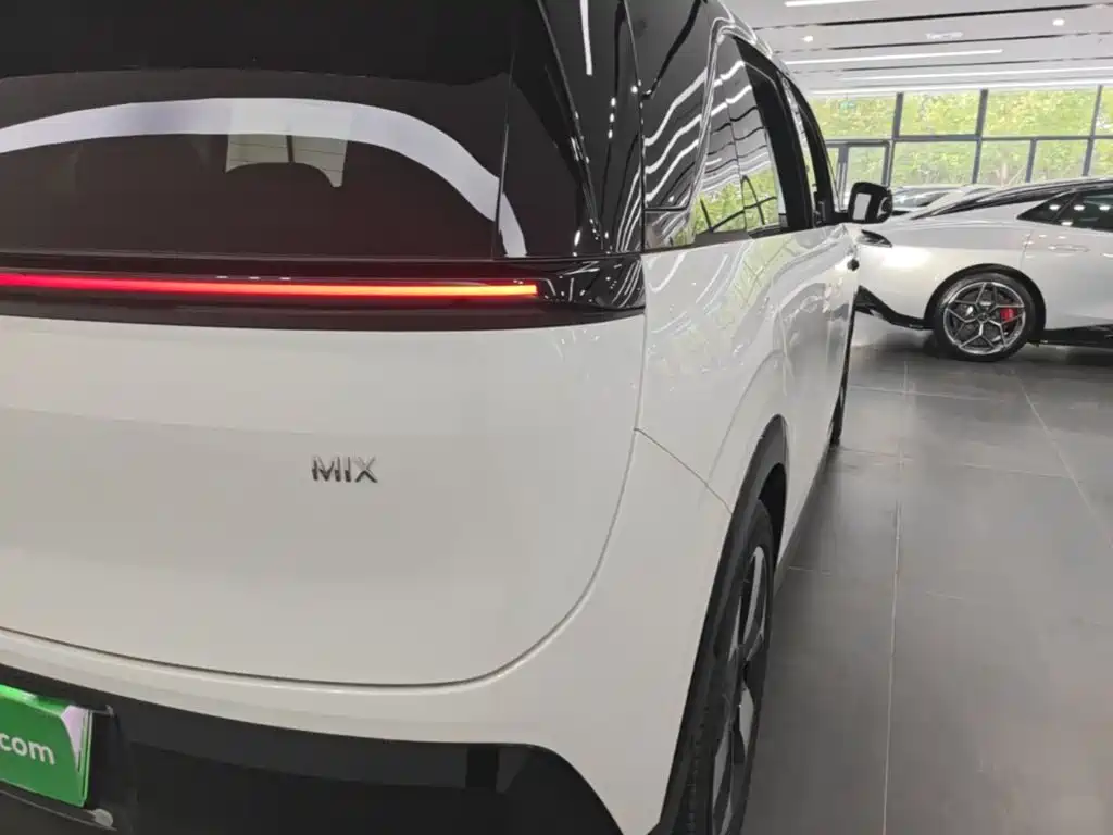 ZEEKR MIX 2026 2025 Smart Driving Edition