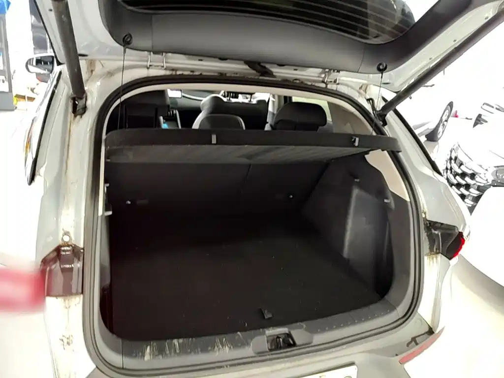 BYD Yuan PLUS 2025 2025 Smart Drive 510KM Surpass Edition