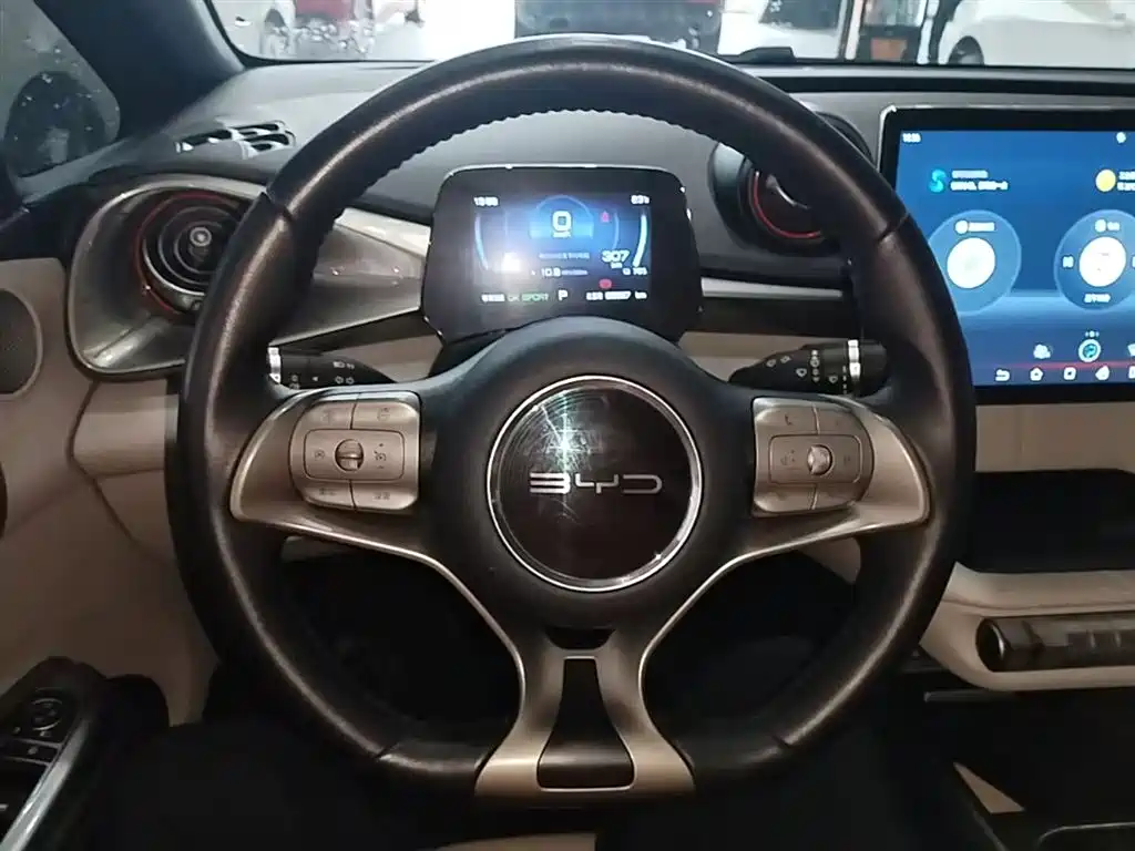BYD Dolphin 2021 Model 405km Fashion Edition фото 11