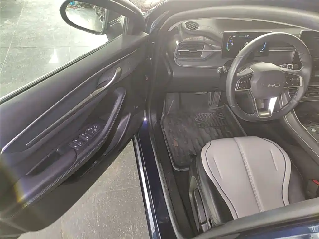 BYD Destroyer 05 2024 Glory Edition DM-i 55KM Luxury фото 16