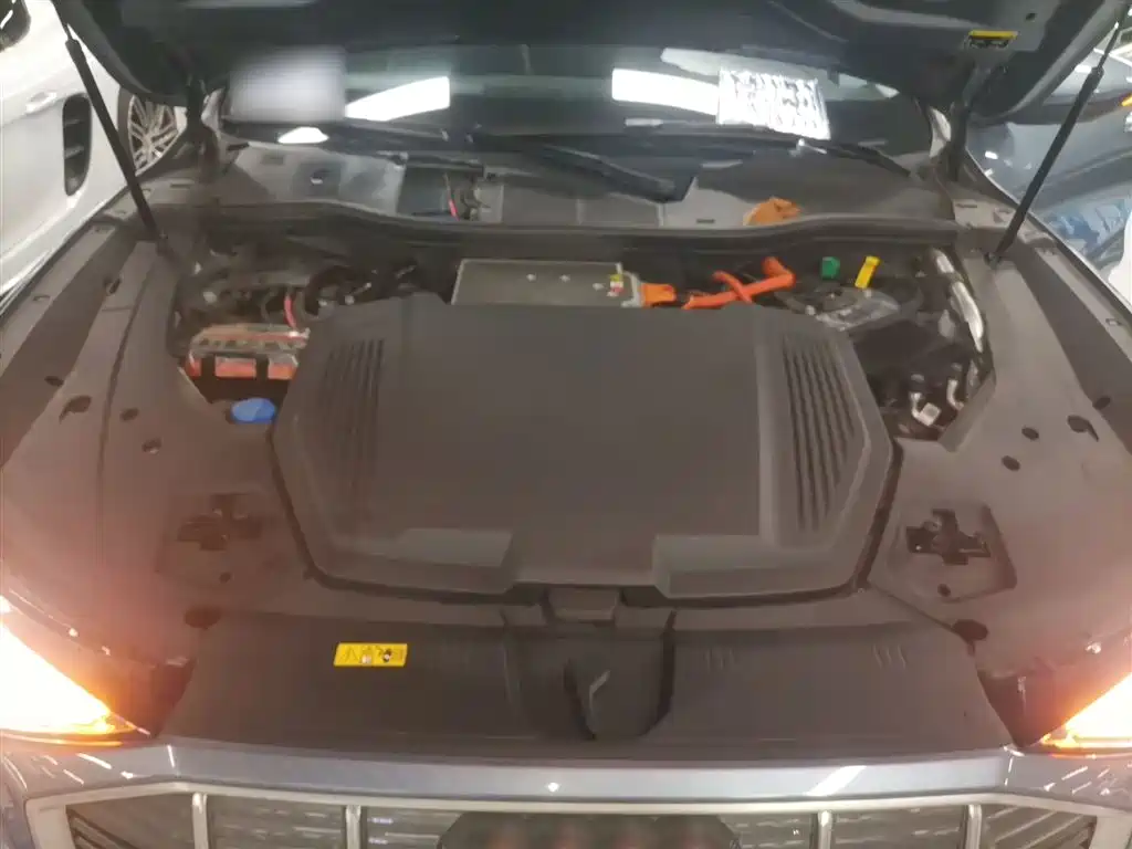 Audi e-tron 2021 50 quattro Luxury фото 17