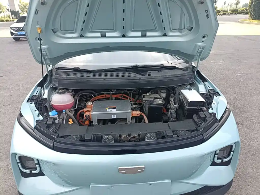 Geely Geometry E Firefly 2023 2024 Model 301km Starlight