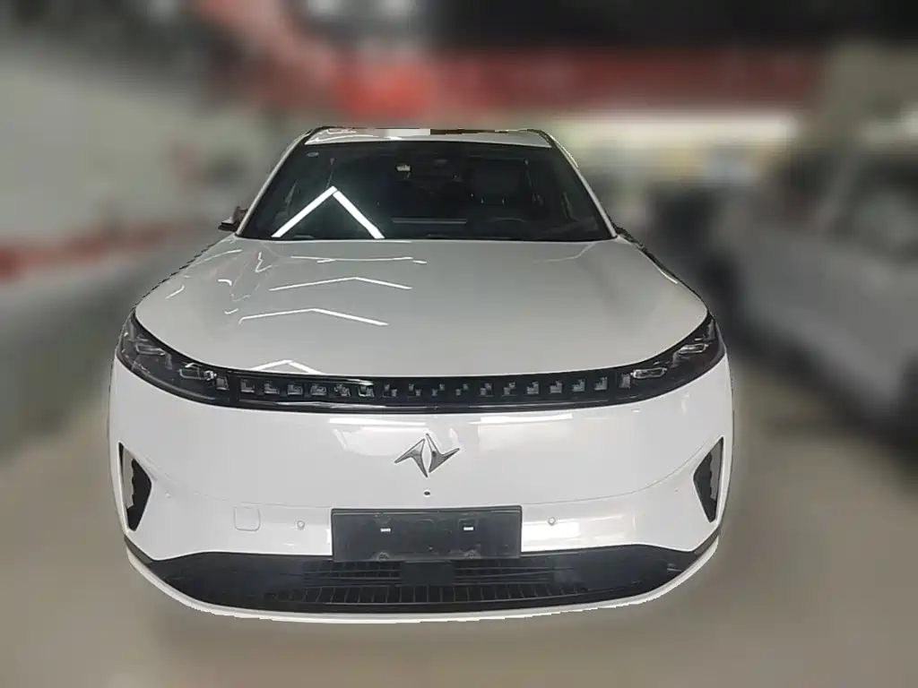 2025 Dongfeng Yipai eπ008
