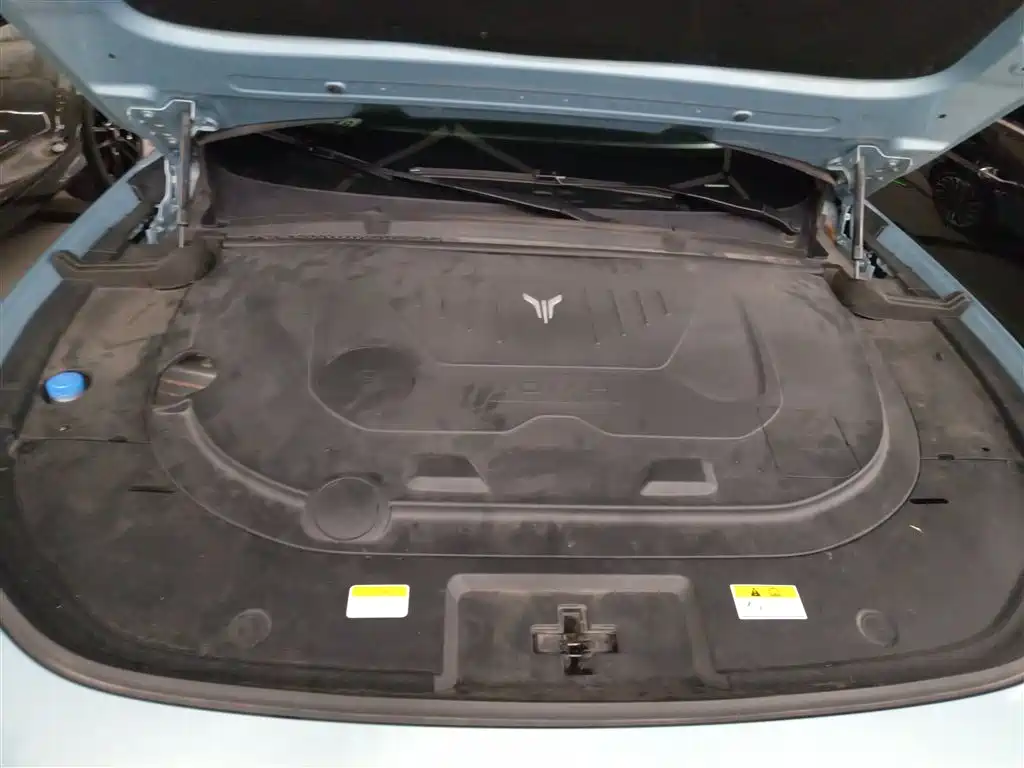 Voyah Auto VOYAH FREE 2021 AWD Standard Range Extender Exclusive Luxury Package фото 10