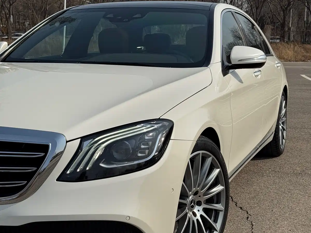 Mercedes-Benz S-Class 2018 S 320 L фото 9