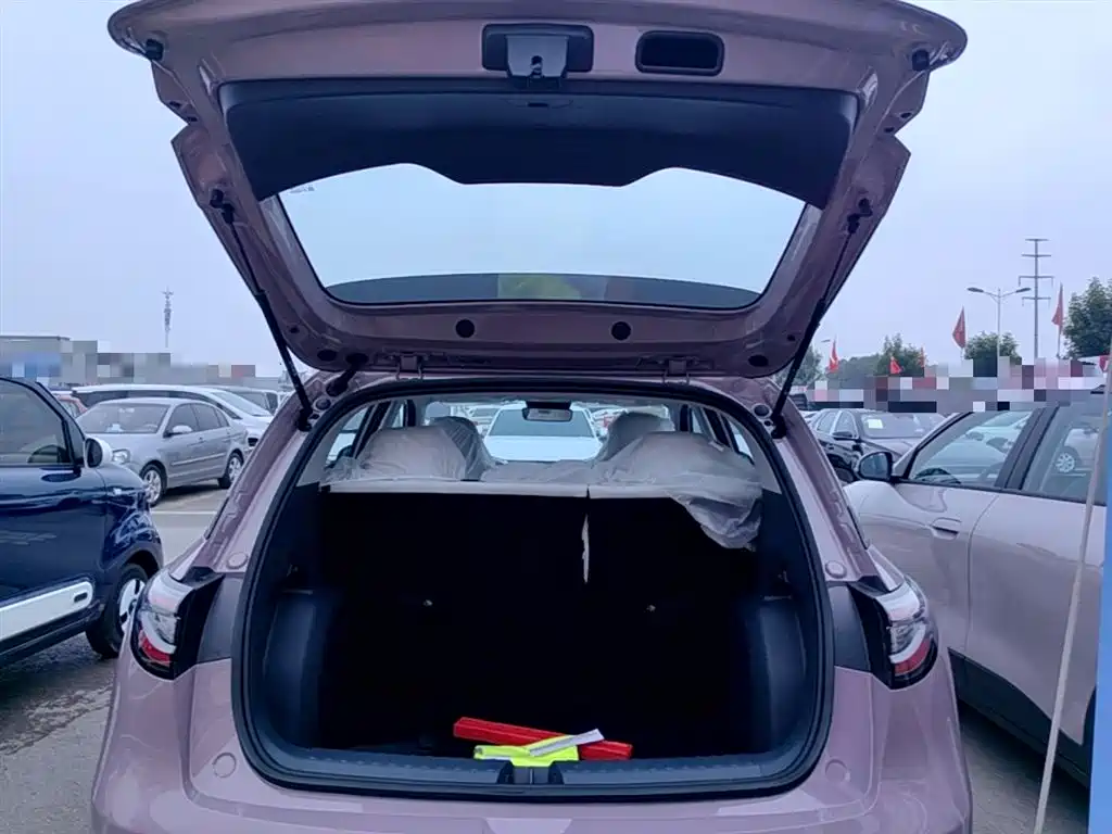 Geely Galaxy Starry Wish 2026 Edition 310km Youth Version фото 19