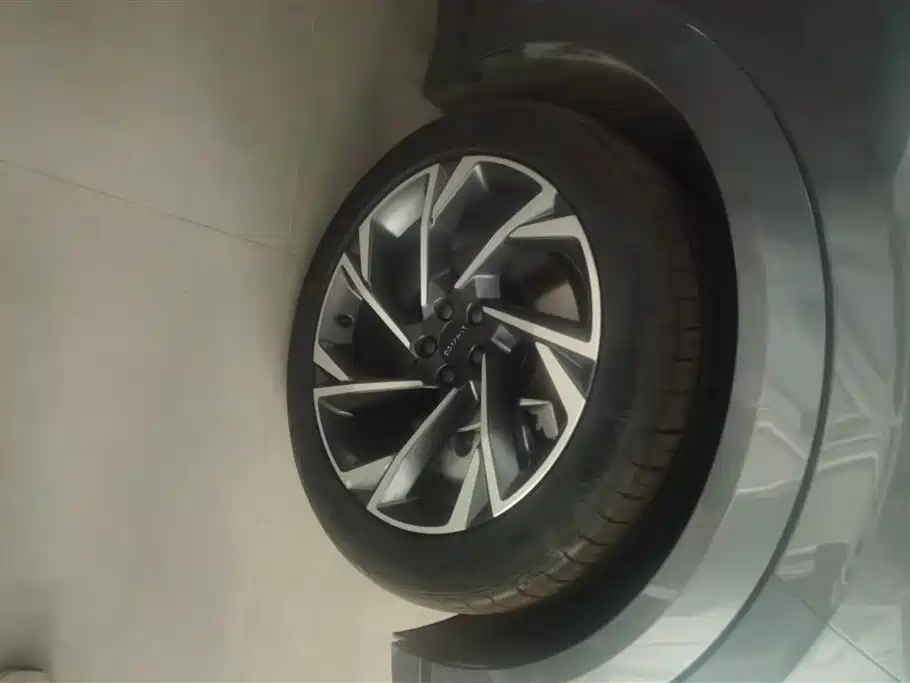 Lynk & Co 09 EM-P 2021 2.0T PHEV Halo 6-seater фото 6