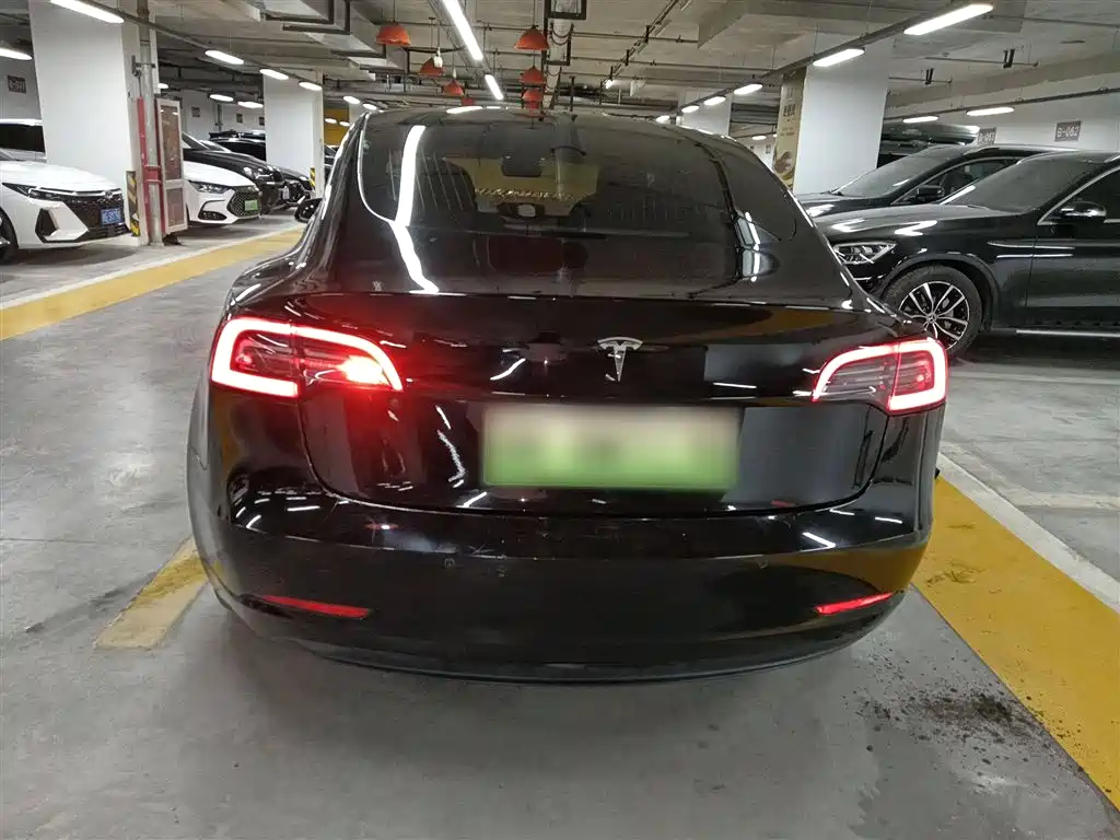 Tesla Model 3 (Import) 2019 2019 Long Range RWD Version