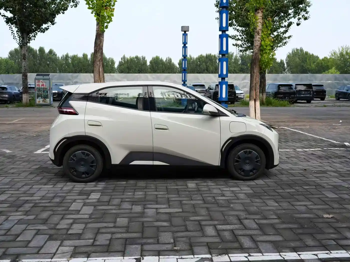 2026 BYD Seagull