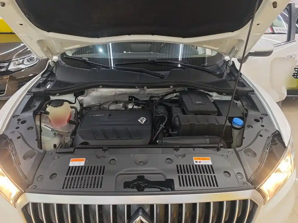 Borgward BX5 2021 2020 20TGDI Automatic 2WD New Trend Edition