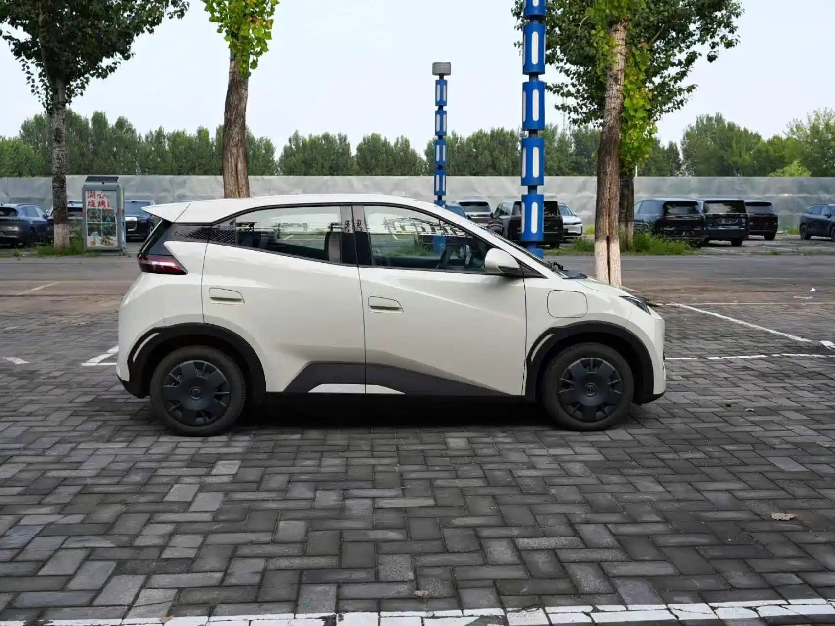 Фото 4 - BYD Seagull
