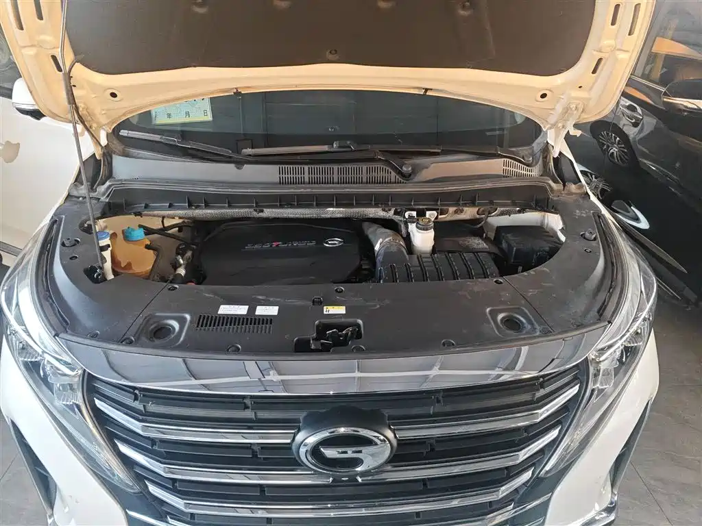 GAC Trumpchi Trumpchi M8 2021 Leading Show Series 390T Ultimate Edition фото 10