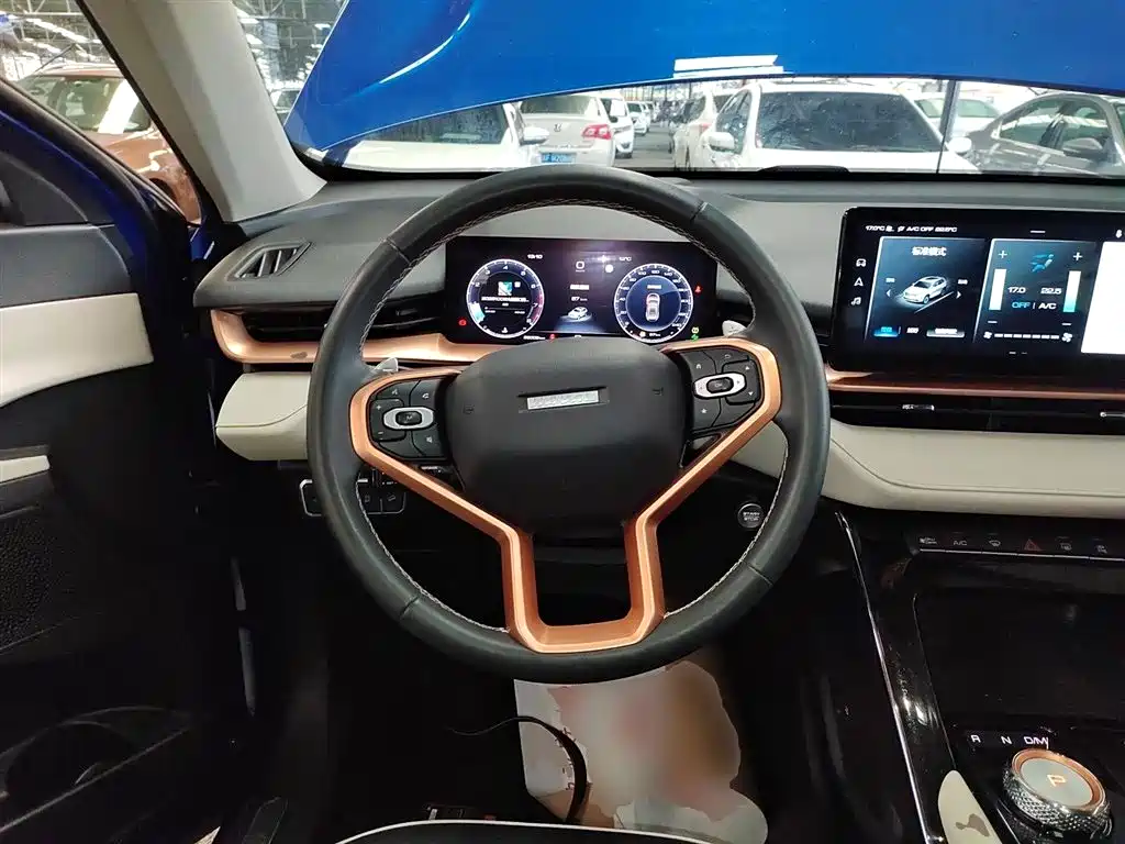 Haval H6 2021 3rd Generation 2.0T Automatic AWD Supreme фото 11