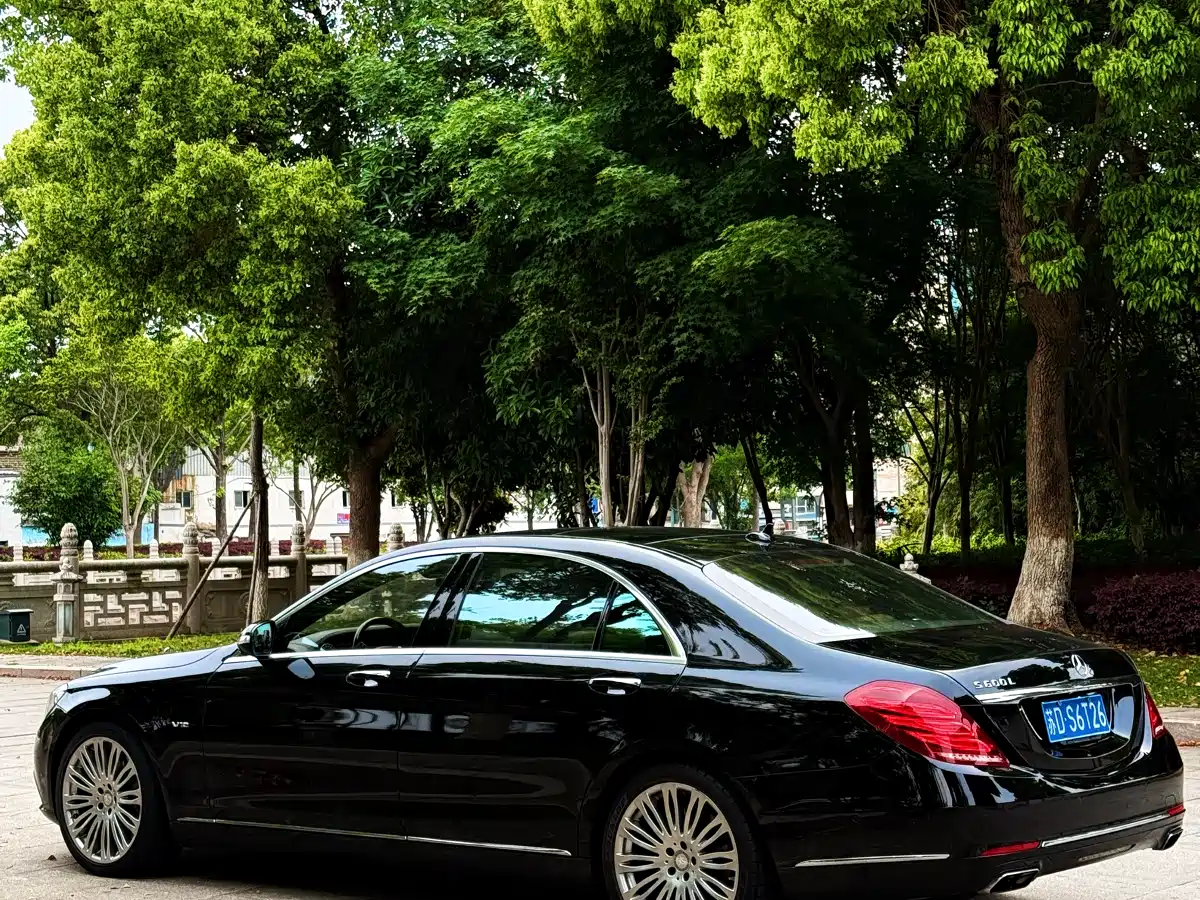 Mercedes-Benz S-Class 2014 S 600 L фото 15