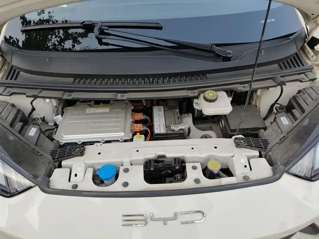 BYD Seagull 2024 Glory Edition 305km Vitality Edition фото 11
