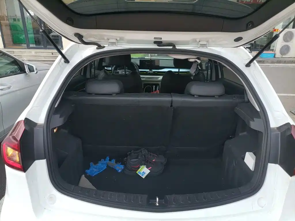 Geely Geometry EX3 Kung Fu Bull 2022 2021 Strong Bull